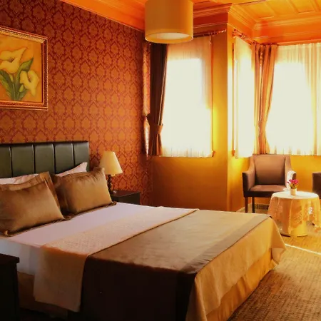Hotell Eskibag Butik 3*